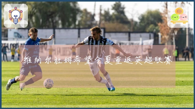 维纳尔杜姆希望今夏重返英超联赛
