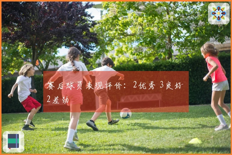 赛后球员表现评价：2优秀 3良好 2差劲
