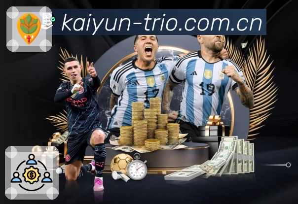 开云平台展示图