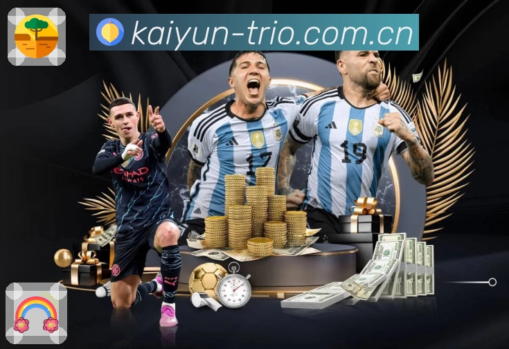 稳定访问登录器